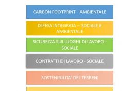 Cereali e semi oleosi, sostenibilità garantita con lo standard CSQA