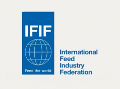 IFIF rinnova la squadra dirigente per il biennio 2026-2027 Rapporto annuale IFIF