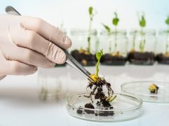 TEA, Assalzoo: “Bene la risoluzione in Senato. Ora serve una normativa per l’utilizzo in campo”