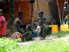 La FAO richiede un’azione collettiva per la sicurezza alimentare, il clima e lo sviluppo in Africa crisi alimentari