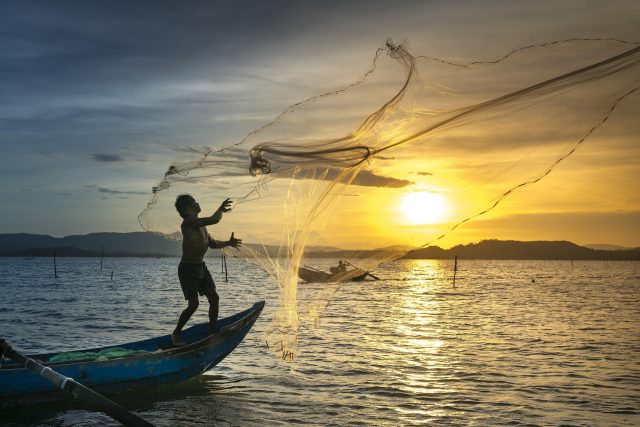 pesca animali acquatici