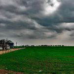 silos_campi_scorte_pixabay