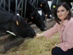 Vita Maria Nocco: “Registro Telematico Cereali, superate le criticità che ne minavano l’avviamento. Partirà nel 2025”