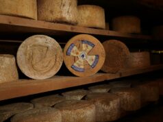 Formaggio Castelmagno, un tesoro caseario delle Alpi occidentali