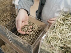 Fieragricola 2026, Verona torna capitale europea dell’agricoltura: