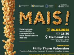 Mais! Innovazione, sostenibilità e competitività nella maidicoltura italiana