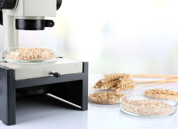 5 mangimi cereali laboratorio sicurezza alimentari controlli ogm © Africa Studio - Fotolia.com